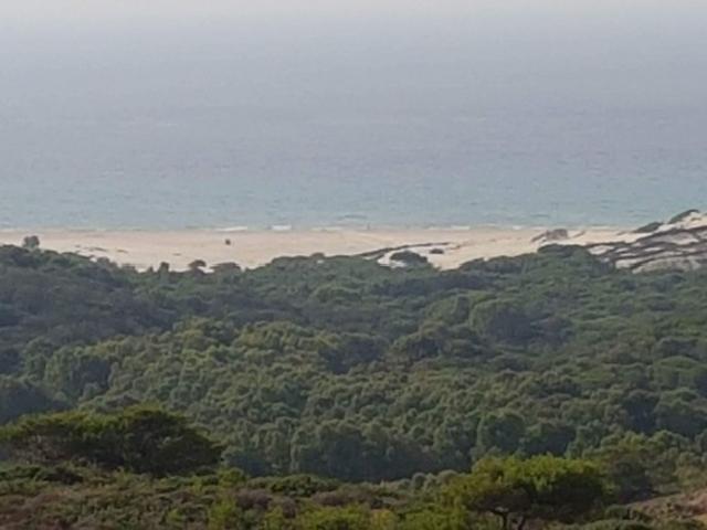 Ain Berda, Gouvernorat de Bizerte, TN
