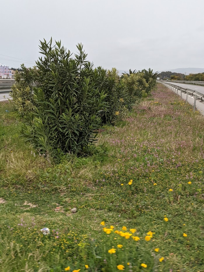 Auto-route bizerte, A4, Menzel Jemil, Gouvernorat de Bizerte, TN
