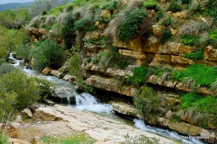 Bazina, Bizerte, TN