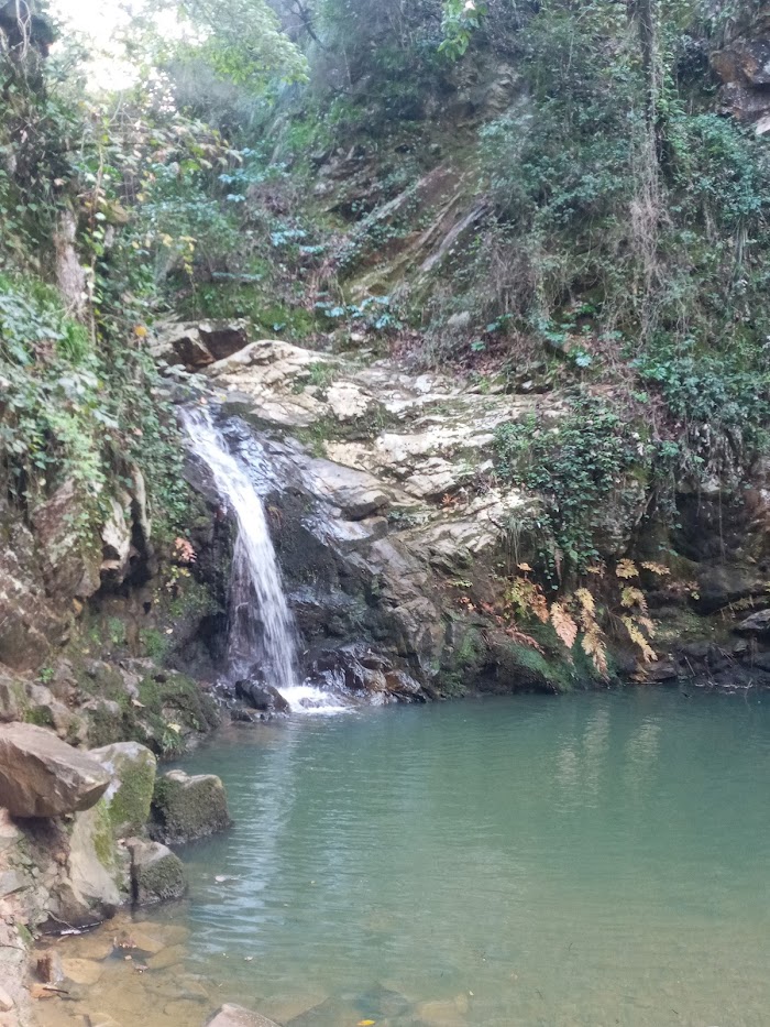 Beni M`Tir, Gouvernorat de Jendouba, TN