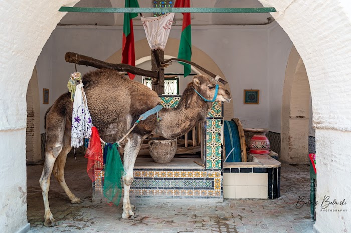 Bir Barrouta - بير بروطة, Rue Barrouta, Kairouan, Gouvernorat de Kairouan, TN