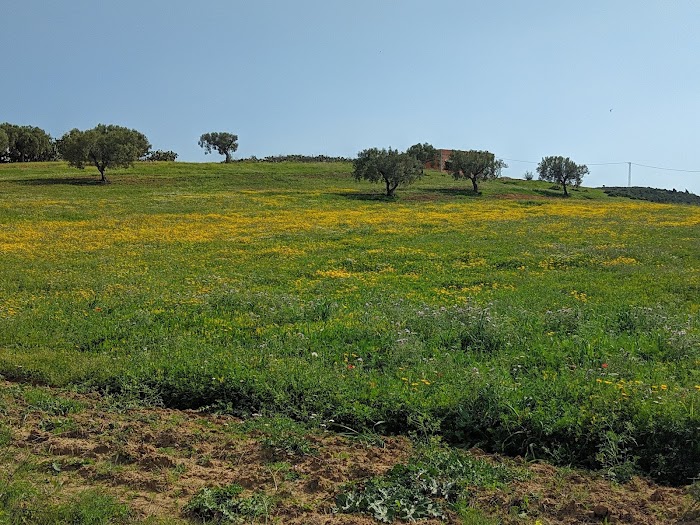 Bir Bou Rekba, Nabeul, TN