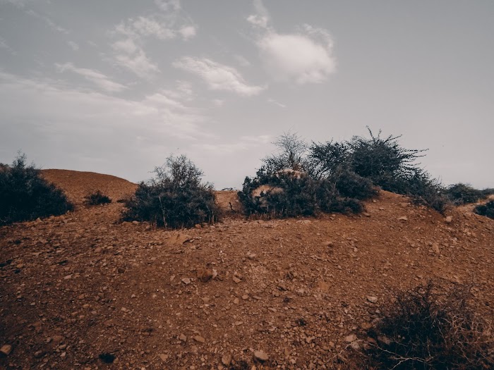 Bir El Bey, Hammam Lif, Ben Arous, TN