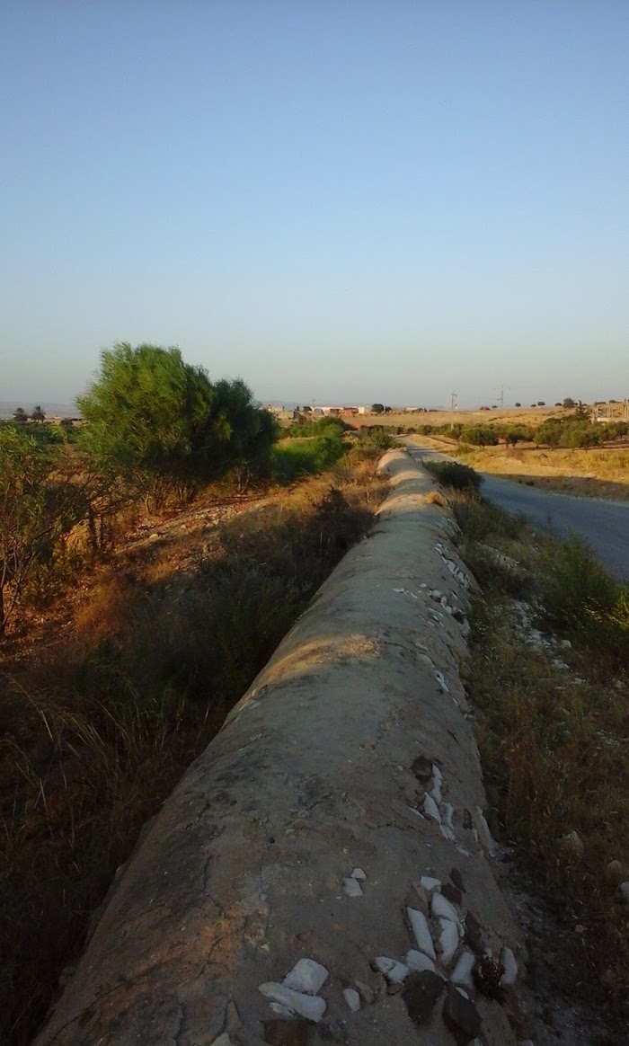 Bir Halima, Gouvernorat de Zaghouan, TN