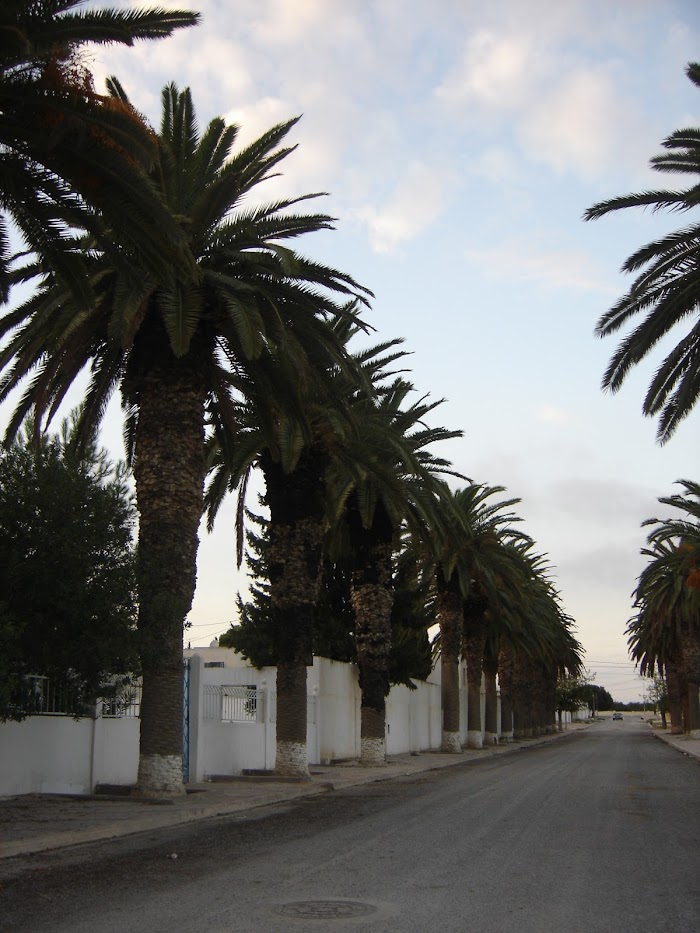 Bir Mcherga, Gouvernorat de Zaghouan, TN
