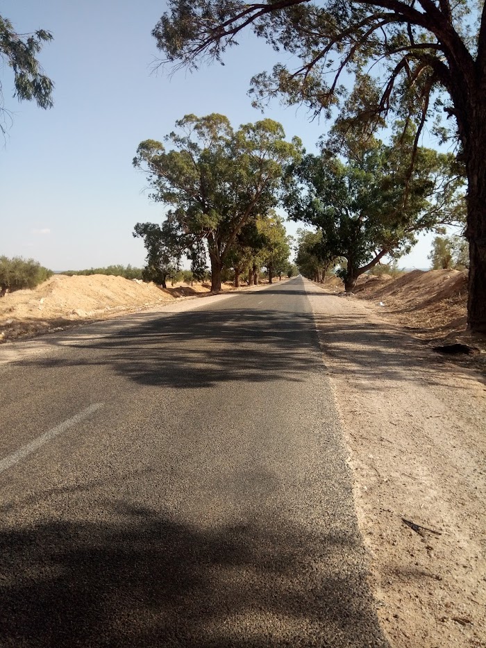 Bou Thadi, Gouvernorat de Kairouan, TN