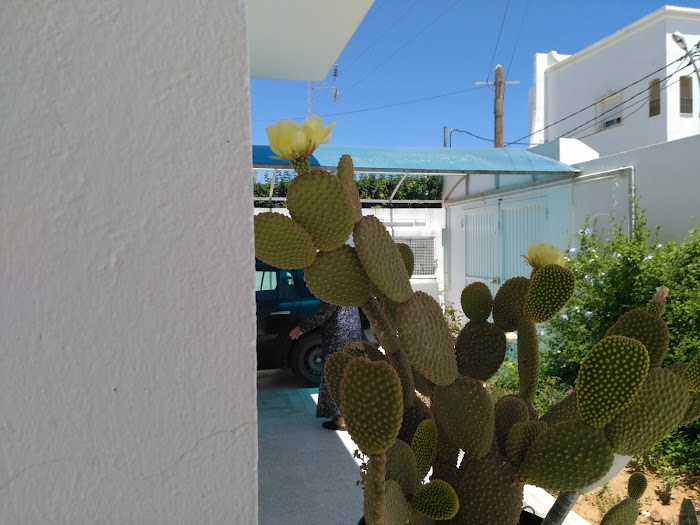 Bouhsina, Hamid el Ghazali, Sousse, Gouvernorat de Sousse, TN