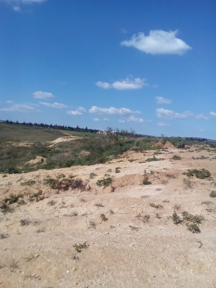 Boujrida, Nabeul, TN