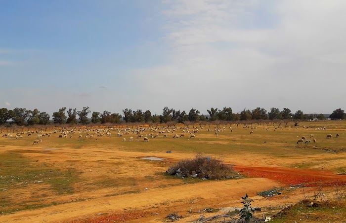 Bourjine, Gouvernorat de Sousse, TN