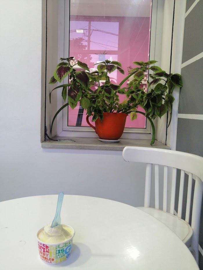 CAMAREL, Ras Jebel, Gouvernorat de Bizerte, TN