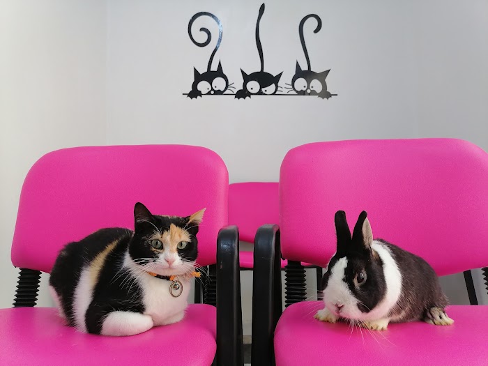 Cabinet Vétérinaire Pets' Vet El Mourouj, Menzel Bouzalfa, Ben Arous, TN