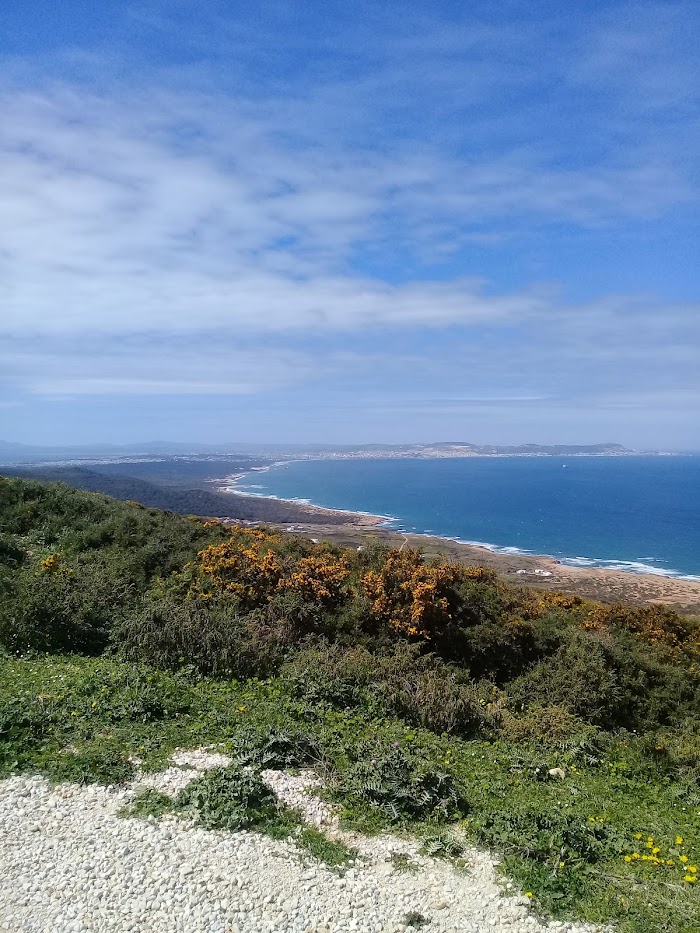 Cafe Demna, Al Matlin, Gouvernorat de Bizerte, TN