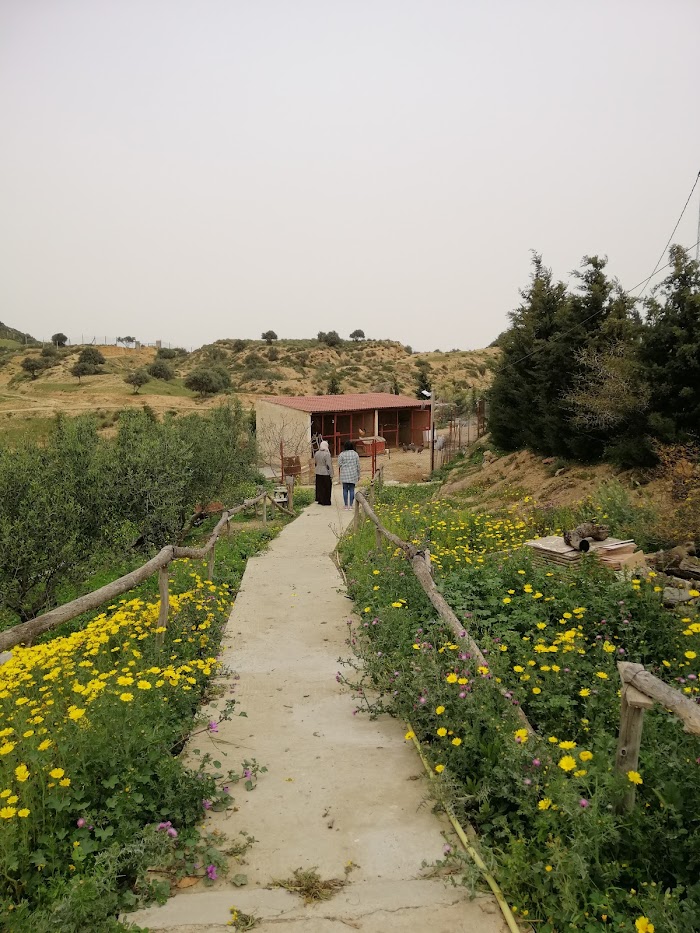 Campagn’art Jabbes, Sidi Thabet, Gouvernorat de l'Ariana, TN