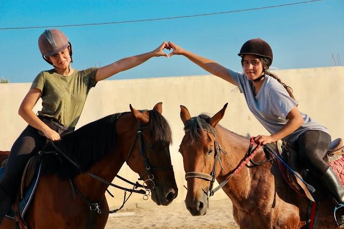 Caval-héros, Monastir, Monastir, TN