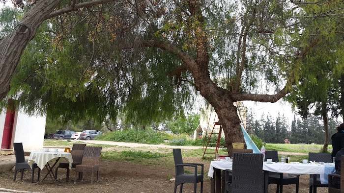 Centre hippique Hbabou, Sidi Thabet, Gouvernorat de l'Ariana, TN