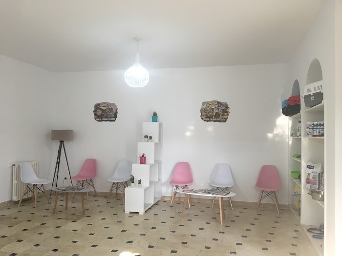 Clinique Vétérinaire El Khalil, Gammarth, Tunis, TN