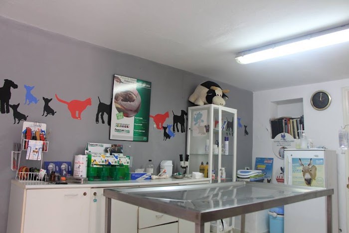 Clinique Veterinaire Ennasr 1, Rue d'Ukraine, 6, Ariana, Tunis, TN