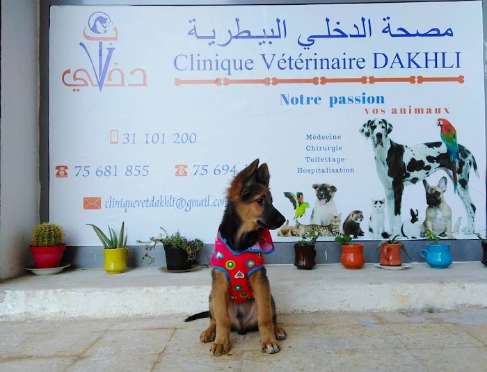 Clinique vétérinaire DAKHLI, Zarzis, Medenine, TN