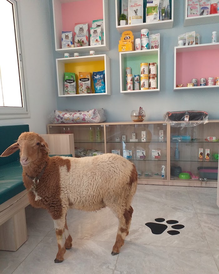 Clinique vétérinaire MaVeto, Rue khzama, Mahdia, Gouvernorat de Mahdia, TN