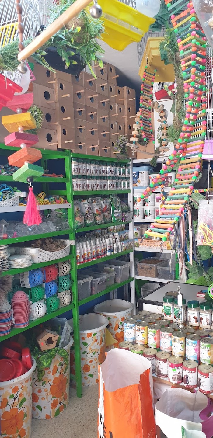 Complexe ElZitouna, Houmt Souk, Médenine, TN