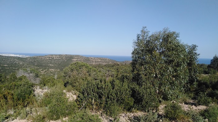 Djebel Hammamet, Hammamet, Nabeul, TN