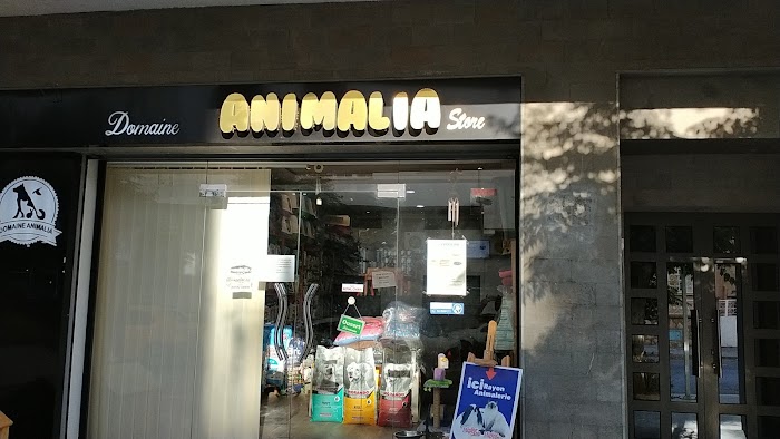 Domaine Animalia Store, Rue Dr Graulle, Sousse, Gouvernorat de Sousse, TN
