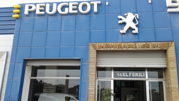 ETS EL-FEKILI PEUGEOT, Av. Salaheddine El Ayoubi - شارع صلاح الدين الأيوبي, Zrig Eddakhlania, Gabès, TN