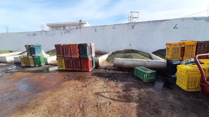 El Alia, Gouvernorat de Bizerte, TN