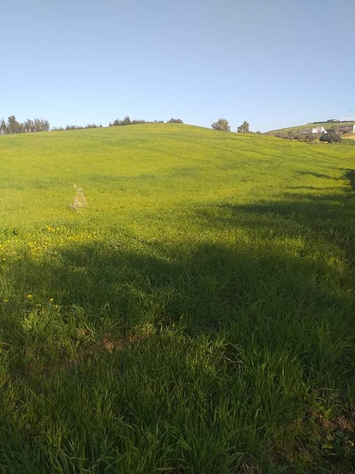 El Garia القرية, Chem. Du Lac el Garia, Gouvernorat de Bizerte, TN