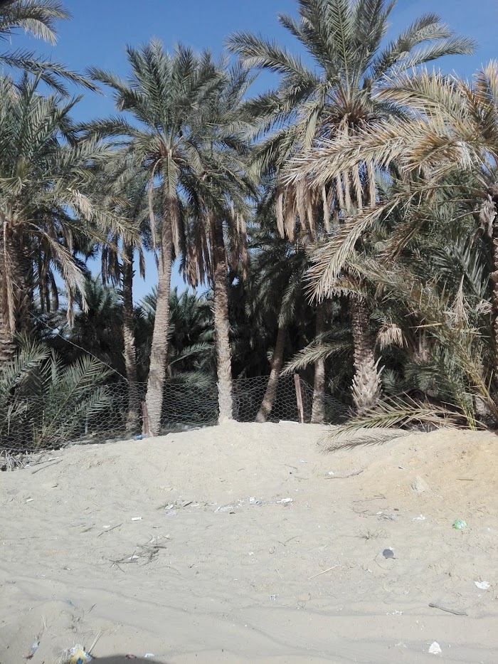 El Hamma du Jerid, Tozeur, TN