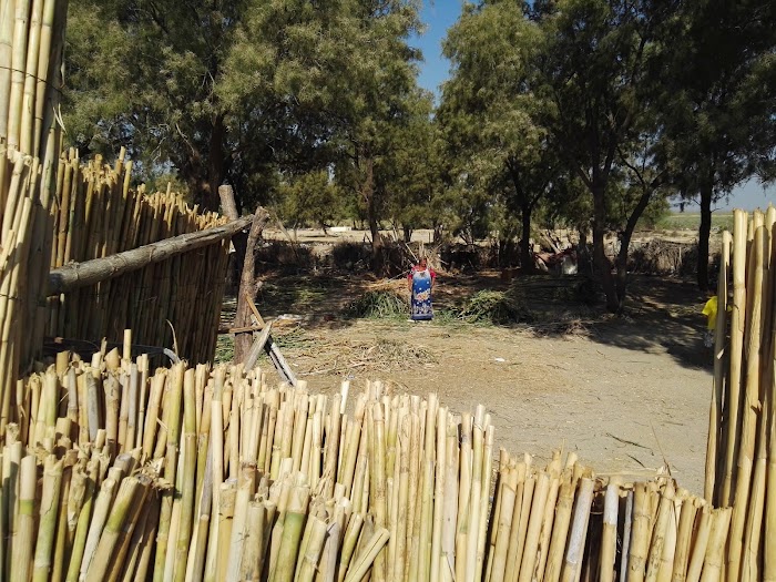 El Metbassta, Gouvernorat de Kairouan, TN