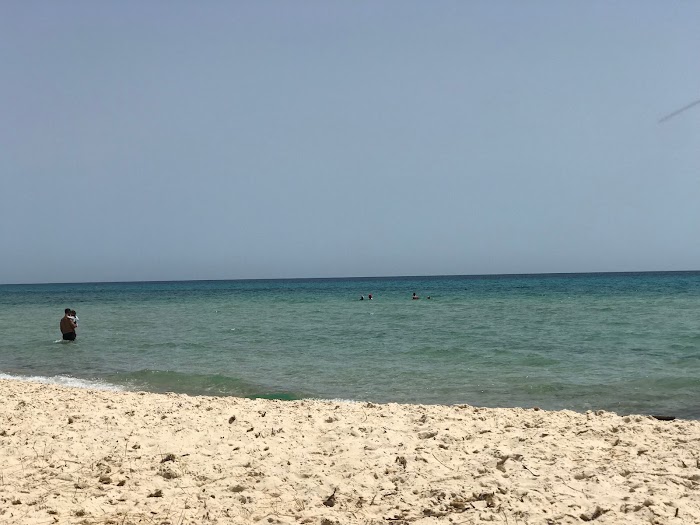 El Mida, Nabeul, TN