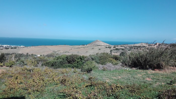 Ennakl Bizerte Motors, P8, Zarzouna, Bizerte, TN