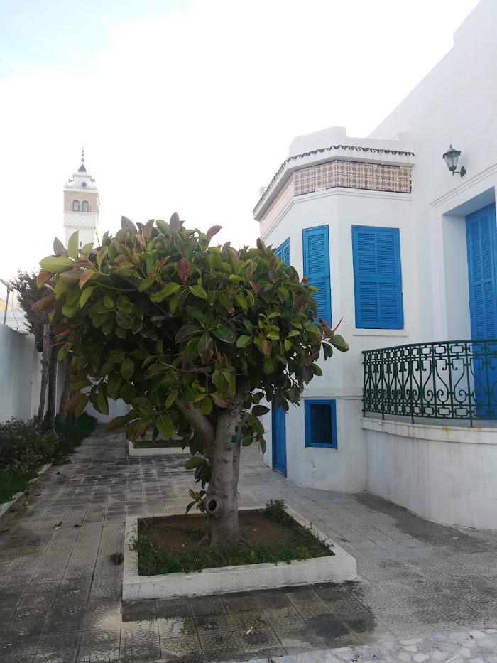 Ez Zahra, Ben Arous, TN