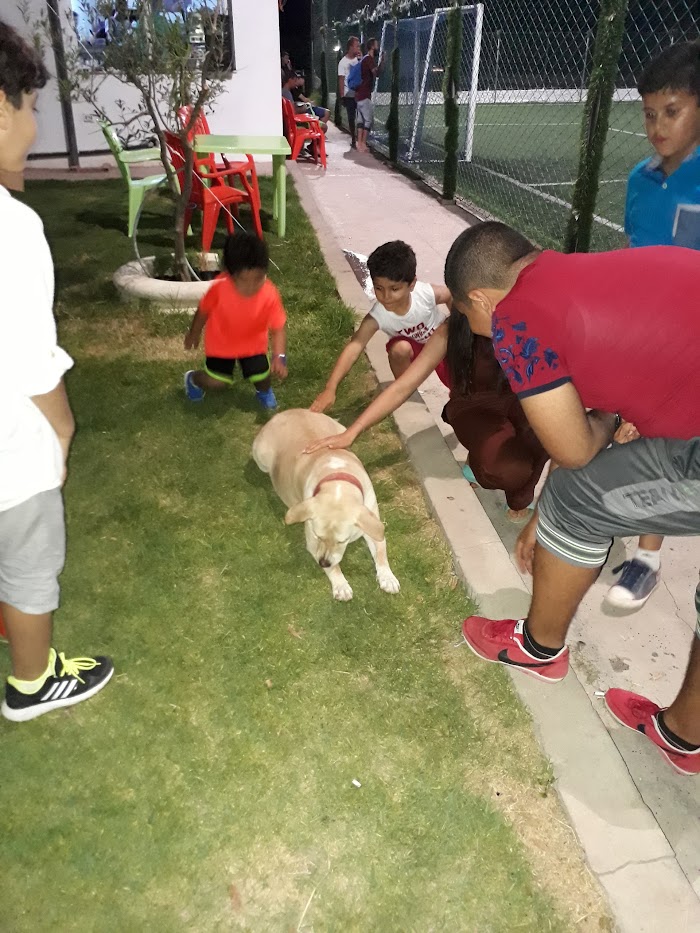 FERRY VILLE PARC, Menzel Bourguiba, Gouvernorat de Bizerte, TN