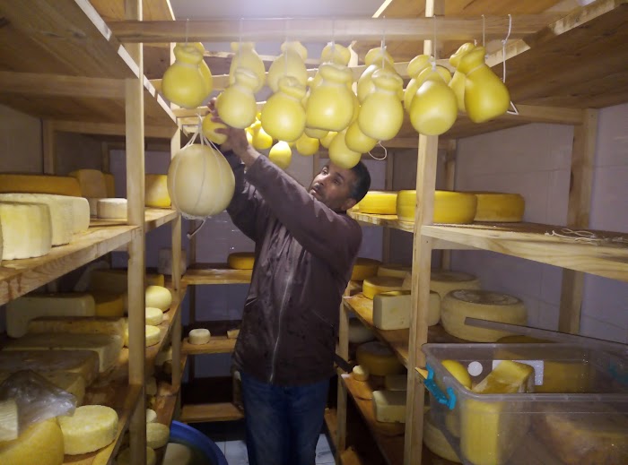 Fromagerie Slouguia, Testour, Béja, TN