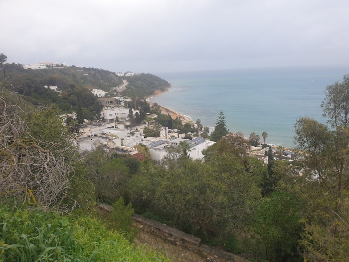 Gammarth Supérieur, Marsa, Tunis, TN
