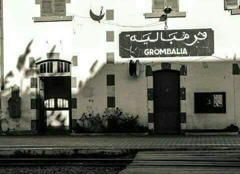 Grombalia, Nabeul, TN