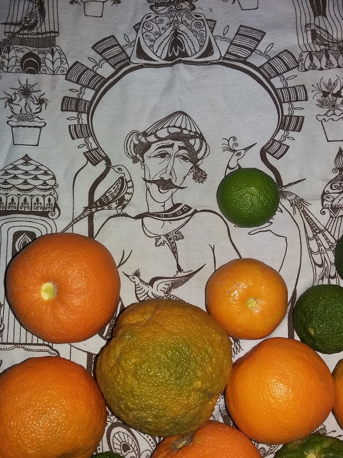 Gustami, Nabeul‎, Nabeul, TN