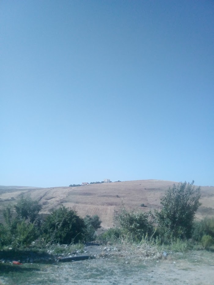 Hamrounia, Béja, TN