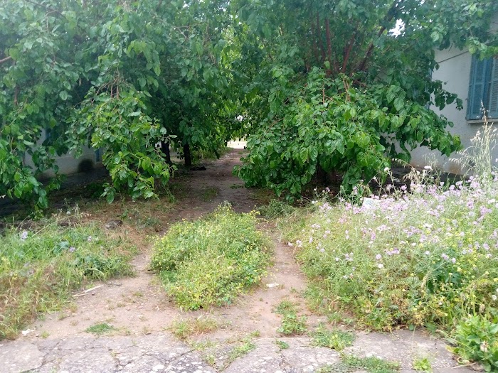 Hôpital régional de Menzel Bourguiba, rue de Haïfa, Menzel Bourguiba, Gouvernorat de Bizerte, TN