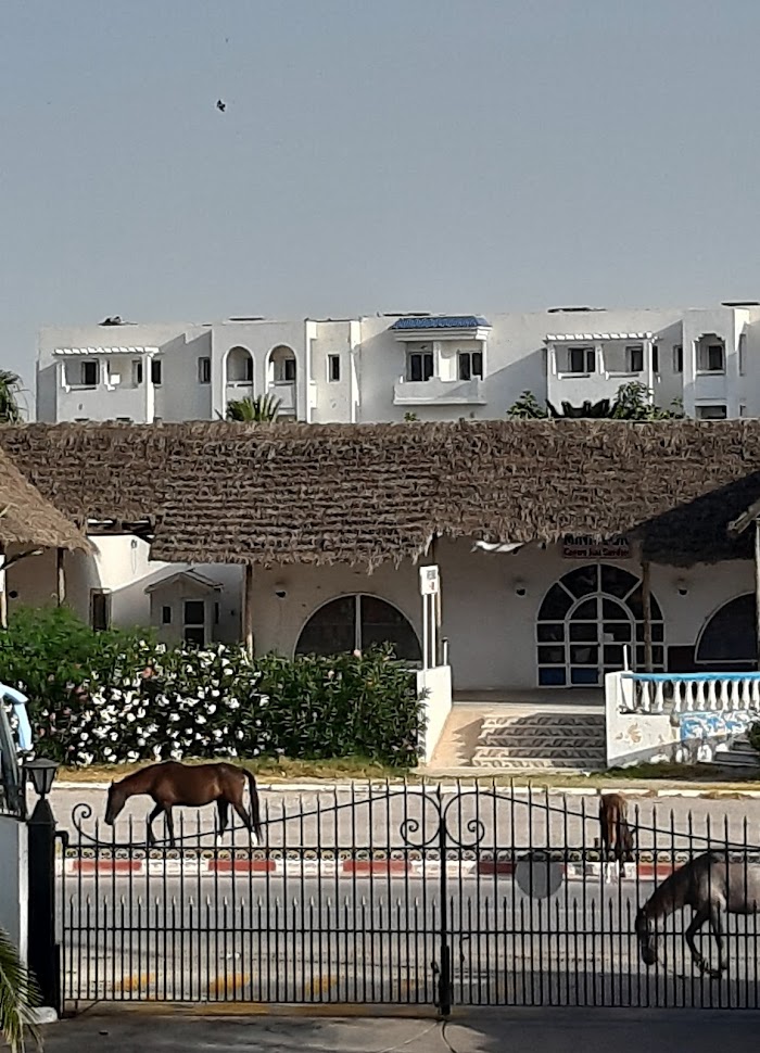 Hôtel Nesrine, Yasmine Hammamet, Nabeul, TN