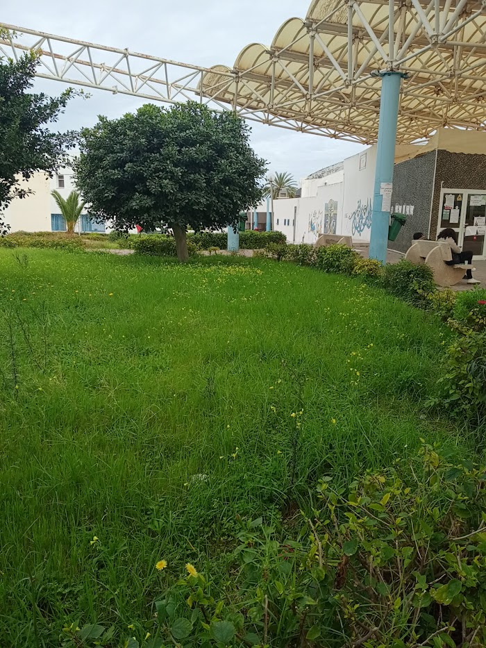 Institut Supérieur de Études Technologiques, Hiboun, Gouvernorat de Mahdia, TN