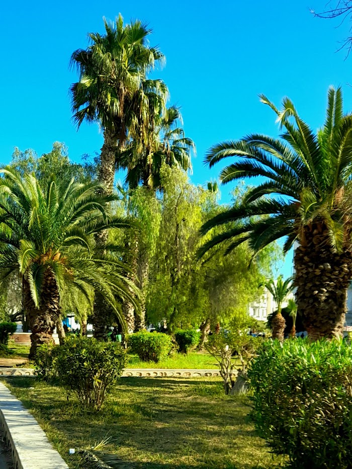 Jardin Dakar, Sfax, Sfax, TN