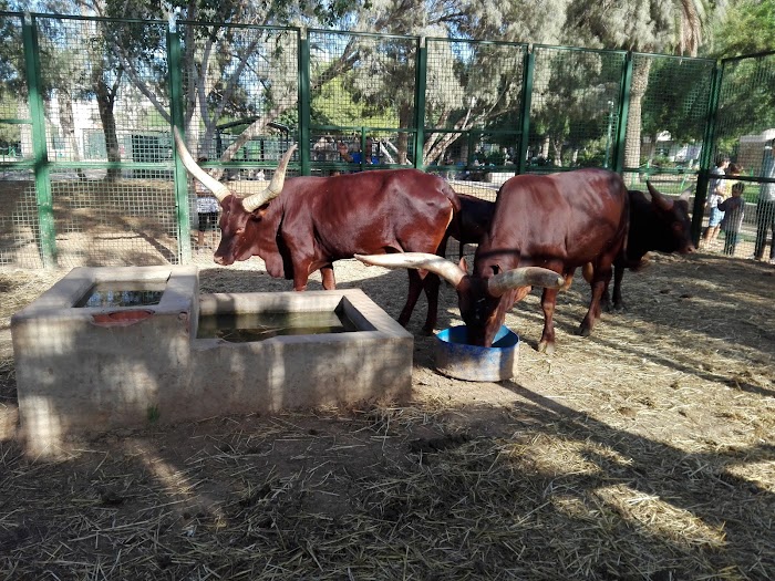 Jardins Publics de Touta, Rte de la Soukra, Sfax, Sfax, TN