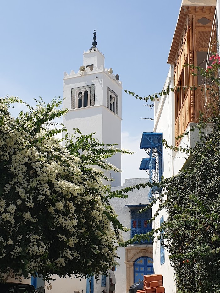 La Mosquée De Sidi Bou Said, Rue Sidi Boufares, Site archéologique de Carthage, Tunis, TN