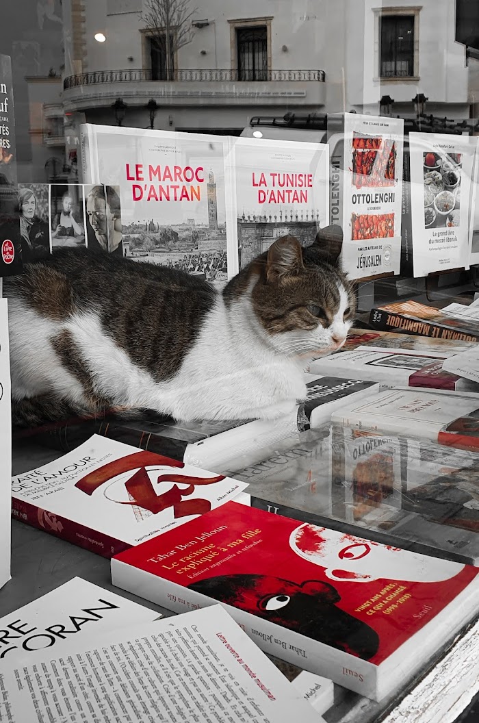 Librairie Millefeuilles - مكتبة الف ورقة, Site archéologique de Carthage, Tunis, TN