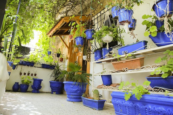 Maison d'hôte Casa Zitouna Kef, TN, Le Kef, Gouvernorat du Kef, TN