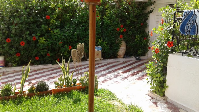 Maison il Agha, Korba, Nabeul, TN