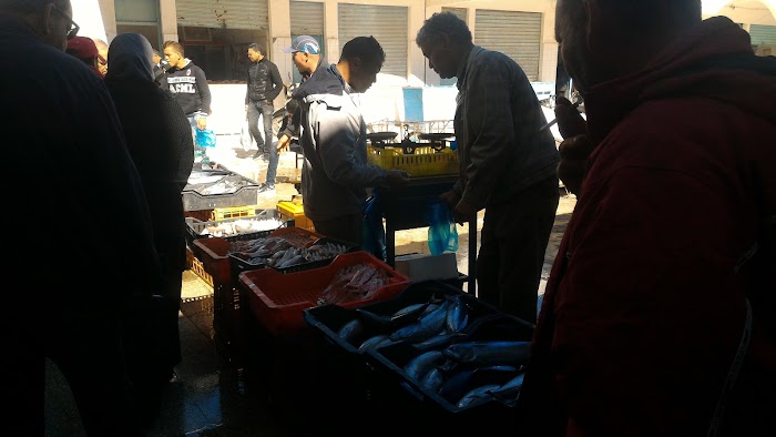 Marché Du Poisson Sayada, Sayada, Monastir, TN